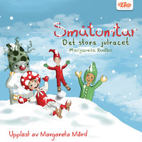 Småtomtar – Det stora julracet - Margaretha Rudbo