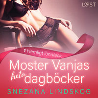 Moster Vanjas heta dagböcker 1: Hemligt lönnfack - erotisk novell - Snezana Lindskog