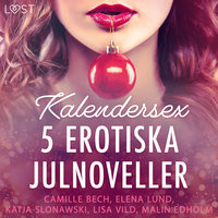 Kalendersex - 5 erotiska julnoveller - Camille Bech, Lisa Vild, Malin Edholm, Katja Slonawski, Elena Lund, Erika Svensson