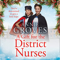 A Gift for the District Nurses - Annie Groves