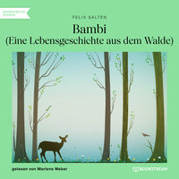 Bambi - Eine Lebensgeschichte aus dem Walde - Felix Salten