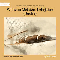 Wilhelm Meisters Lehrjahre, Buch 1 - Johann Wolfgang von Goethe