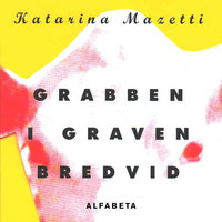 Grabben i graven bredvid - Katarina Mazetti