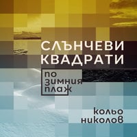 Слънчеви квадрати по зимния плаж - Кольо Николов