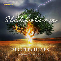 Släktstorm - Birgitta Illyés