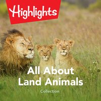 All About Land Animals Collection - Highlights for Children