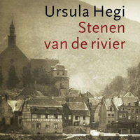 Stenen van de rivier - Ursula Hegi
