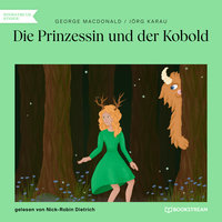 Die Prinzessin und der Kobold - George MacDonald, Jörg Karau