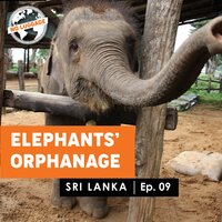 Sri Lanka – Elephants' Orphanage - Billyana Trayanova
