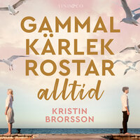 Gammal kärlek rostar alltid - Kristin Brorsson