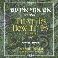 That Is How It Is - Moishe Nadir