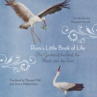 Rumi's Little Book of Life - Azima Melita Kolin (Translator), Maryam Mafi (Translator)
