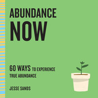 Abundance Now: 60 Ways to Experience True Abundance - Jesse Sands