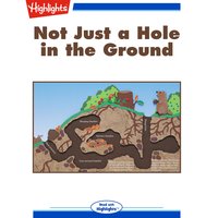 Not Just a Hole in the Ground - Elizabeth C. McCarron