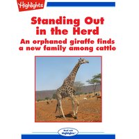 Standing Out in the Herd - Cecil Dzwowa