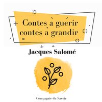 Contes à guérir, contes à grandir - Jacques Salomé