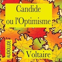 Candide ou l'Optimisme - Voltaire