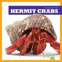 Hermit Crabs - Vanessa Black