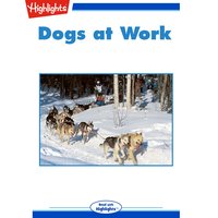 Dogs at Work - Sherry Shahan
