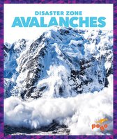 Avalanches - Vanessa Black