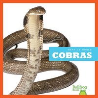 Cobras - Vanessa Black
