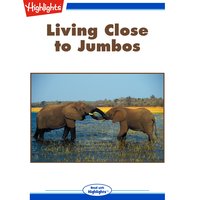 Living Close to Jumbos - Cecil Dzwowa