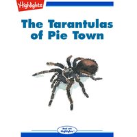 The Tarantulas of Pie Town - Jennifer Owings Dewey