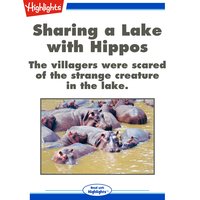 Sharing a Lake with Hippos - Cecil Dzwowa