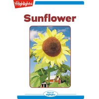 Sunflower - Nancy White Carlstrom