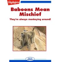 Baboons Mean Mischief - Cecil Dzwowa