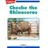 Cheche the Rhinoceros - Cecil Dzwowa