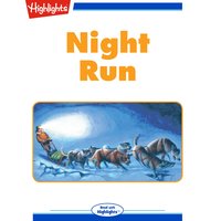 Night Run - Sherry Shahan