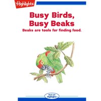 Busy Birds, Busy Beaks: Beaks are tools for finding food. - Stephen R. Swinburne
