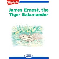 James Ernest the Tiger Salamander - Jennifer Owings Dewey