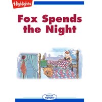 Fox Spends the Night - Barbara Owen