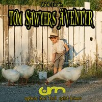 Tom Sawyers äventyr