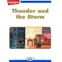 Thunder and the Storm - Ruth Donnelly