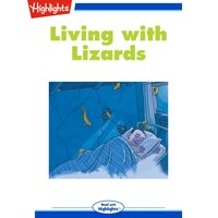 Living with Lizards - Cecil Dzwowa