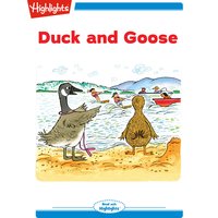 Duck and Goose - Larry Dane Brimner
