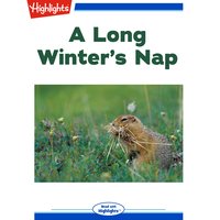 A Long Winter's Nap - Karen G. Ballen