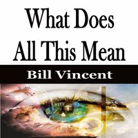 What Does All This Mean - Bill Vincent