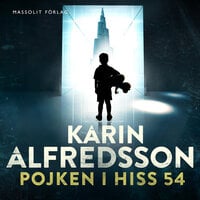 Pojken i hiss 54 - Karin Alfredsson