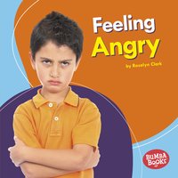 Feeling Angry - Rosalyn Clark
