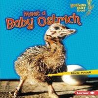 Meet a Baby Ostrich - Marie Powell