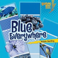 Blue Everywhere - Kristin Sterling