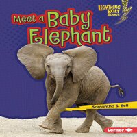 Meet a Baby Elephant - Samantha S. Bell
