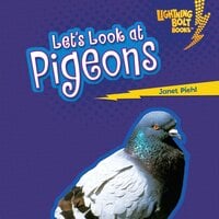 Let's Look at Pigeons - Janet Piehl