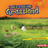 Let's Visit the Grassland - Jennifer Boothroyd