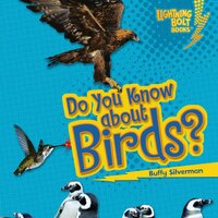 Do You Know about Birds? - Buffy Silverman