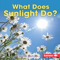 What Does Sunlight Do? - Jennifer Boothroyd